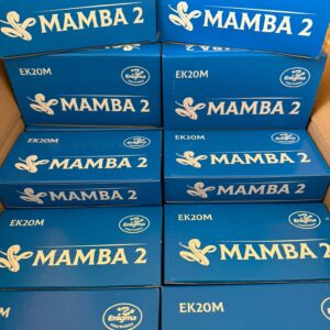 MAMBA 2